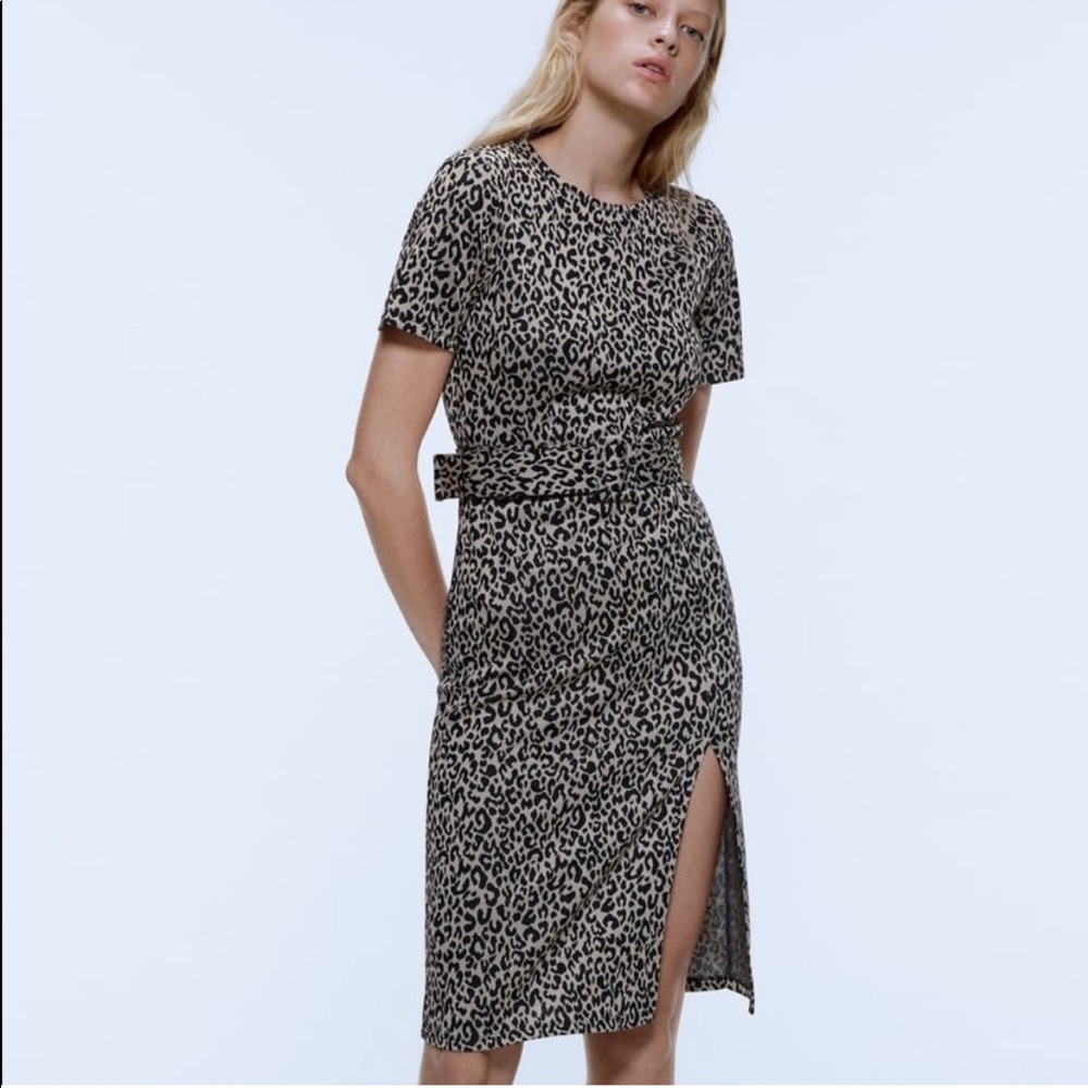 Zara Leopard Dress Slit Belt Stretch Form Fitting‎ Stretchy Short Sleeve Midi